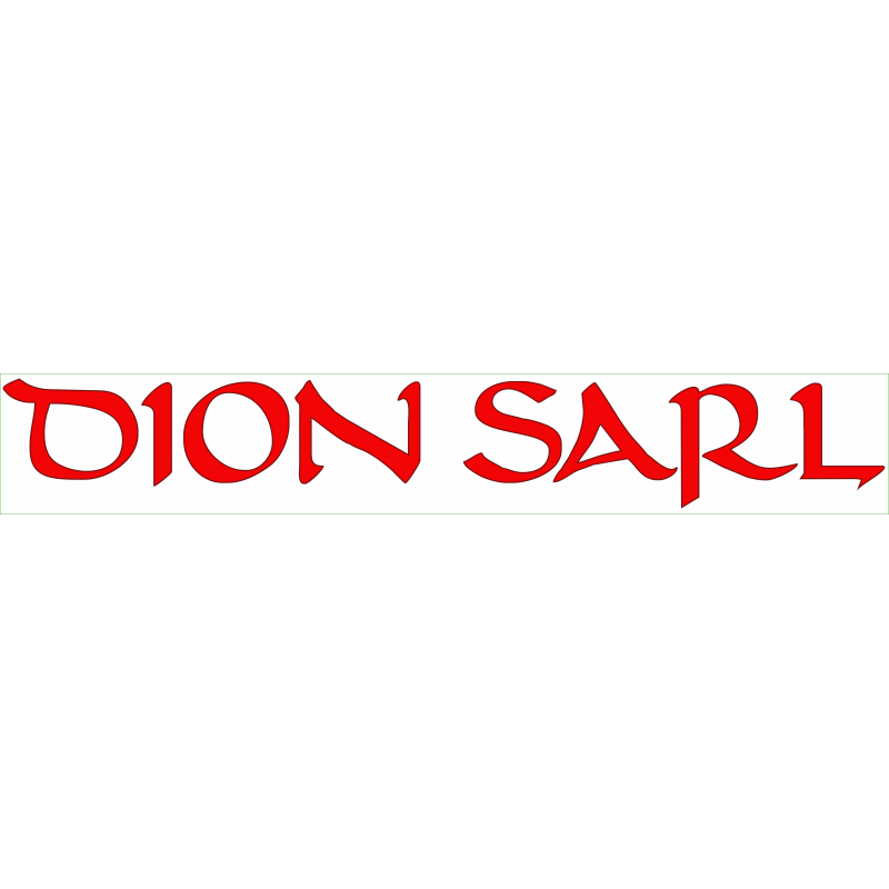 DION SARL sur rectangle blanc
