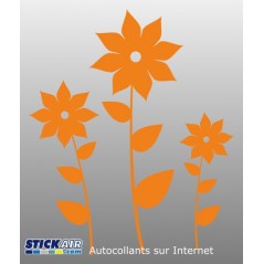 Fleurs Asie