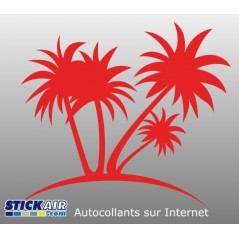 079 - Palmiers