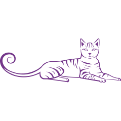 093 - Chat allongé