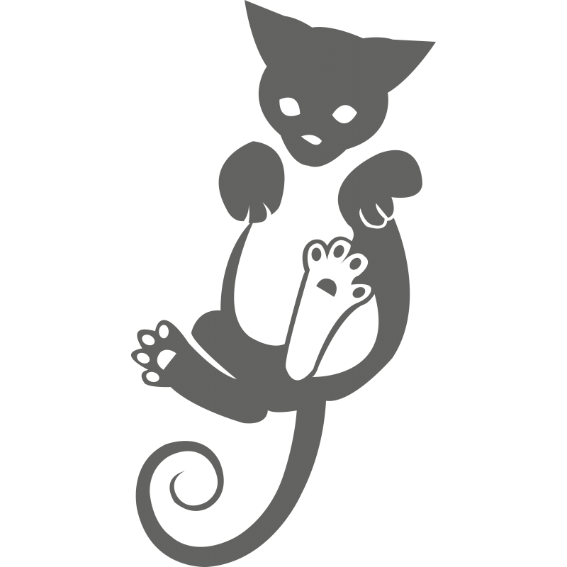 094 - Chat suspendu