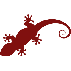 107 - Gecko