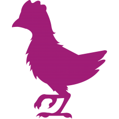 123 - Poule