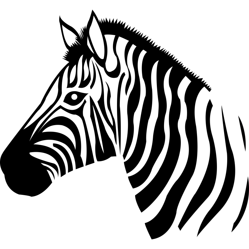 135  -  Zèbre