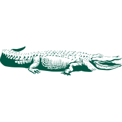 Crocodile