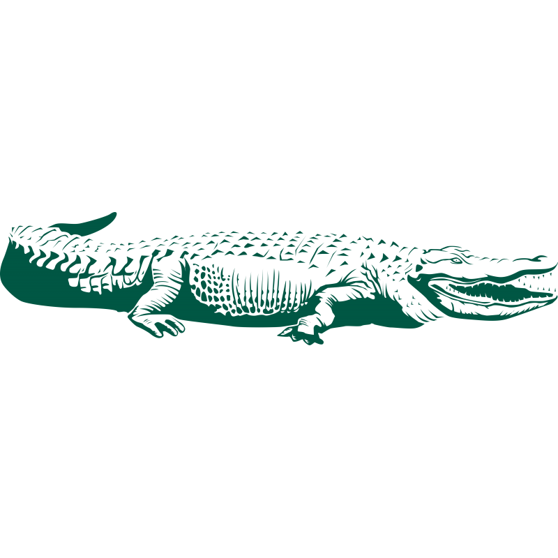 Crocodile
