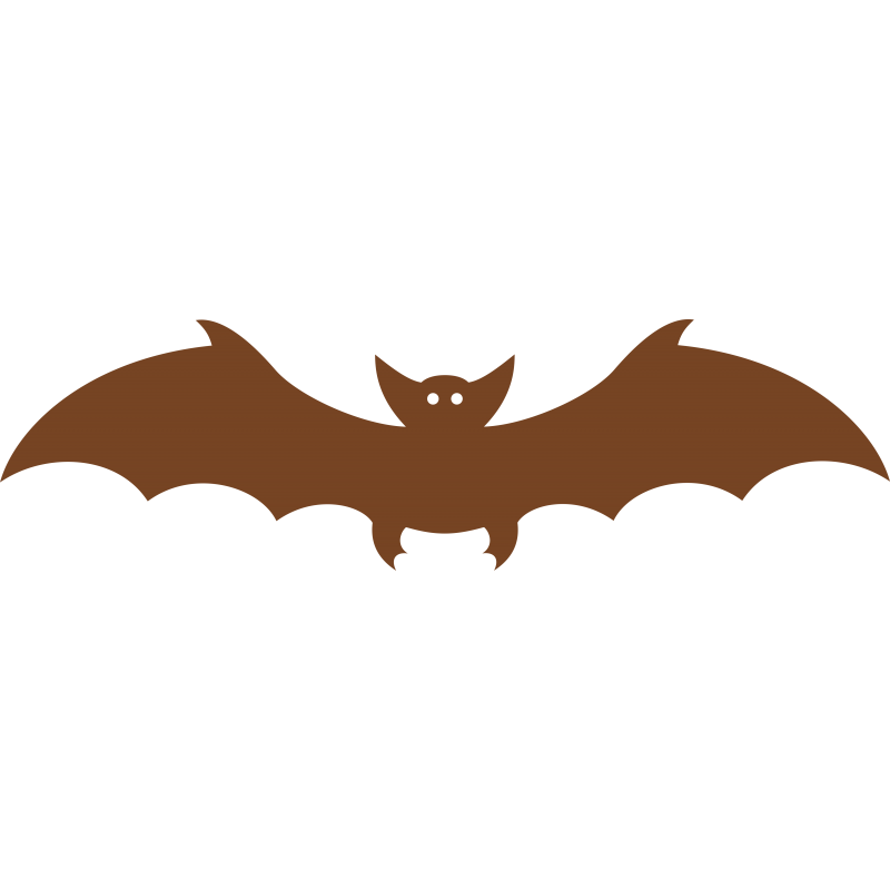 Chauve souris