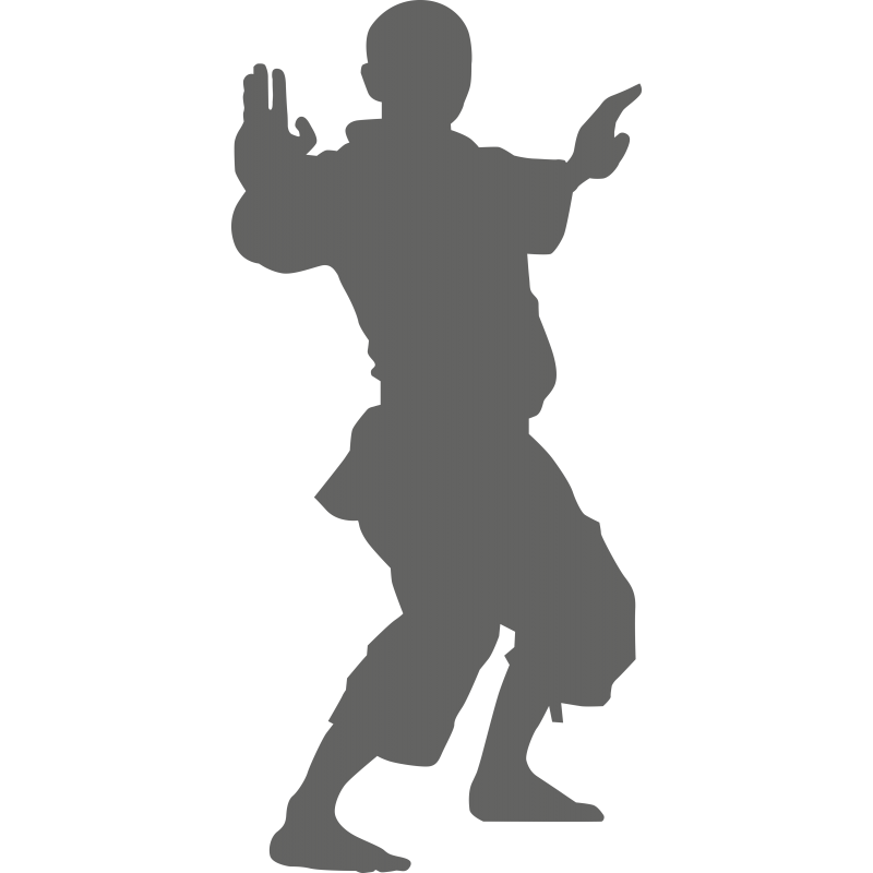 Shaolin1 Shaolin1