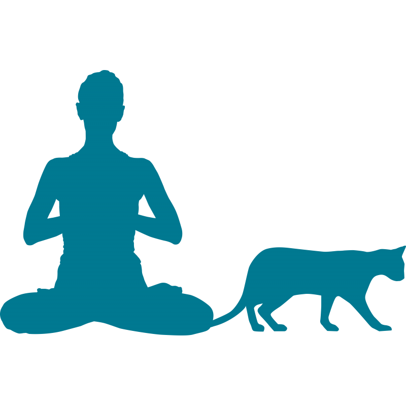 Yoga chat