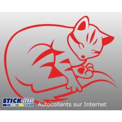 143 - Chat en boule