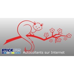 144 - Chat sur branche