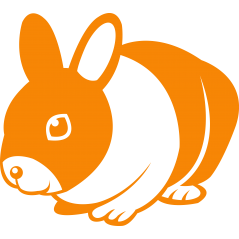 153 - Lapin