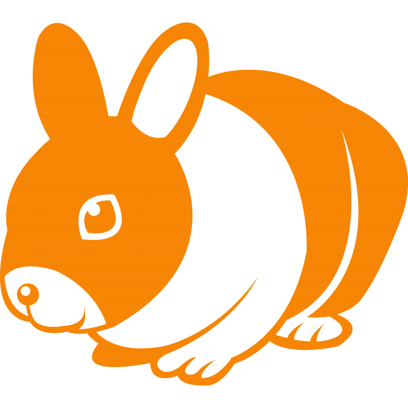 153 - Lapin