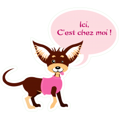 E Chihuahua