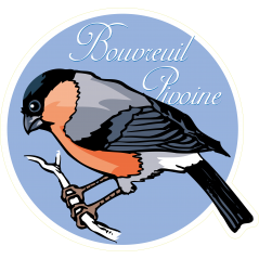 Oiseau bouvreuil