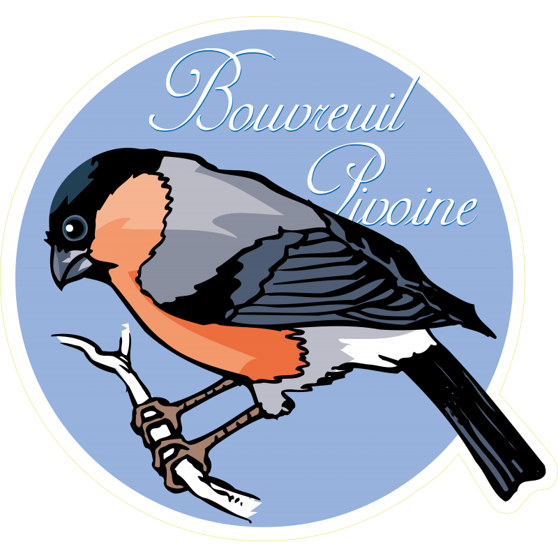 Oiseau bouvreuil