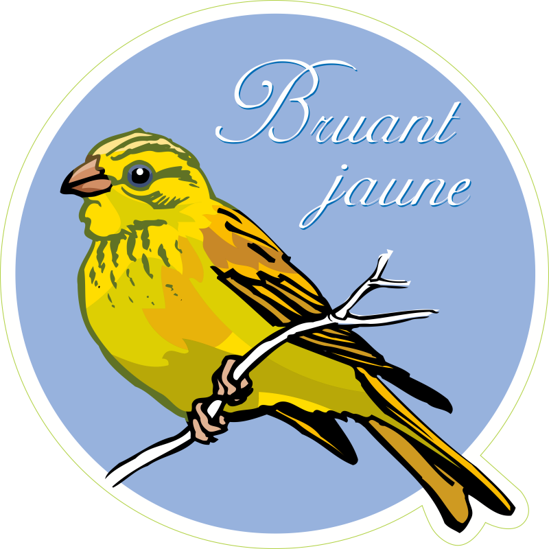 Oiseau bruant