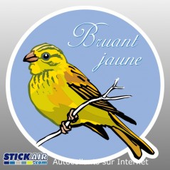 Oiseau bruant