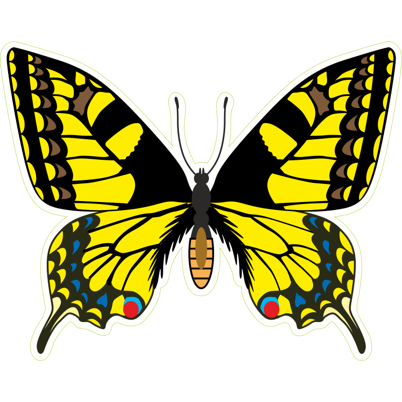 Papillon jaune noir