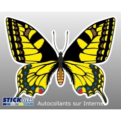 Papillon jaune noir