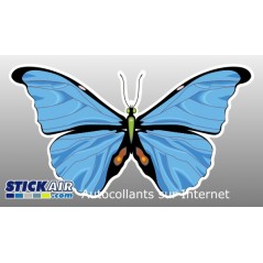 Papillon bleu