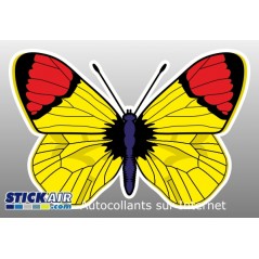 Papillon jaune rouge