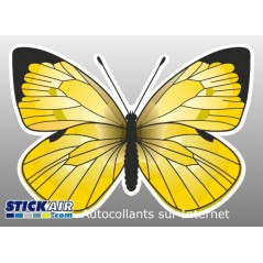 Papillon jaune