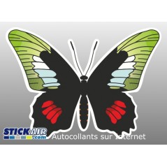 Papillon