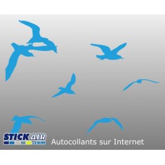 Oiseaux