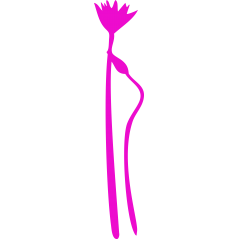 Vegetal