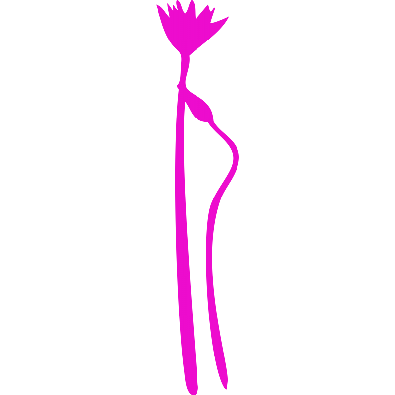 Vegetal
