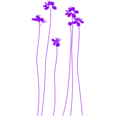 Printemps