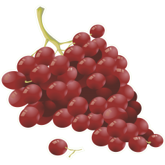 Grappe raisin