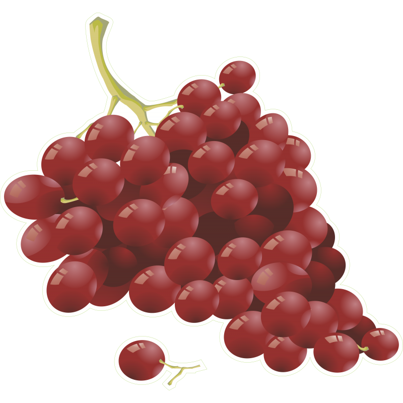 Grappe raisin
