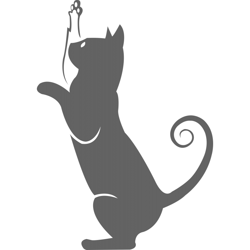 218 - Chat