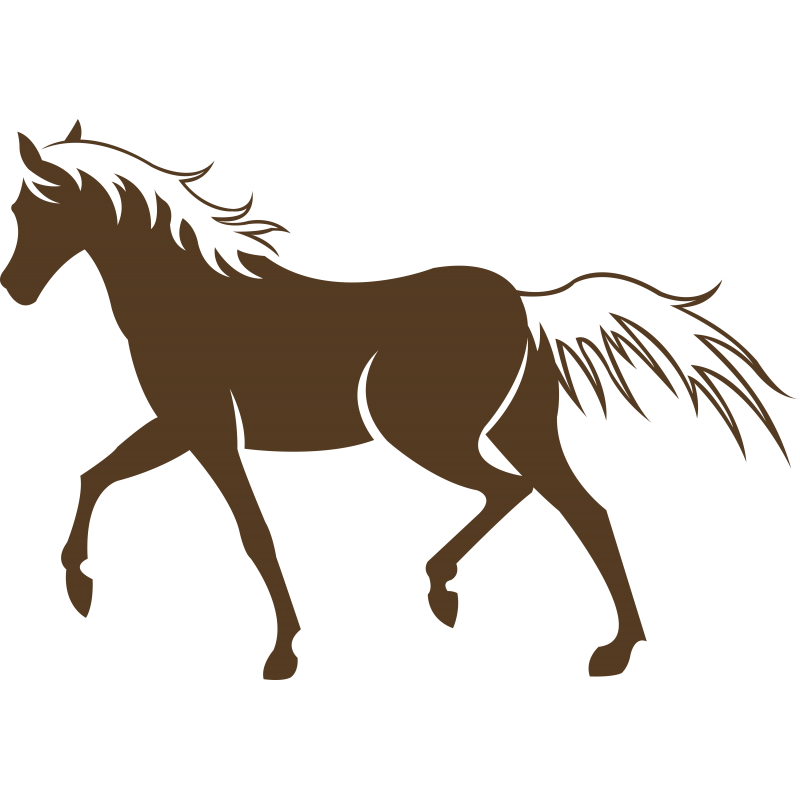 209 - Cheval 209 - Cheval