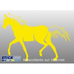 209 - Cheval 209 - Cheval