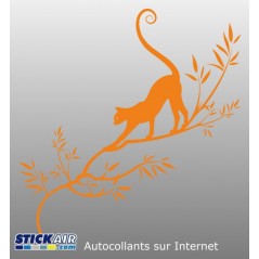225 - Chat branche