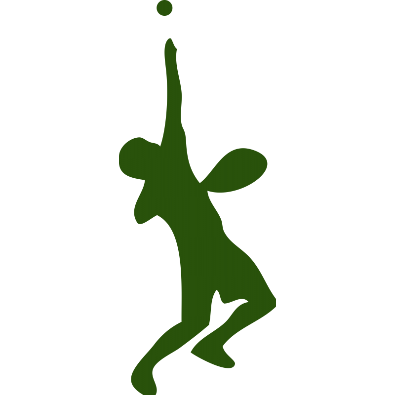 Tennisman Tennisman