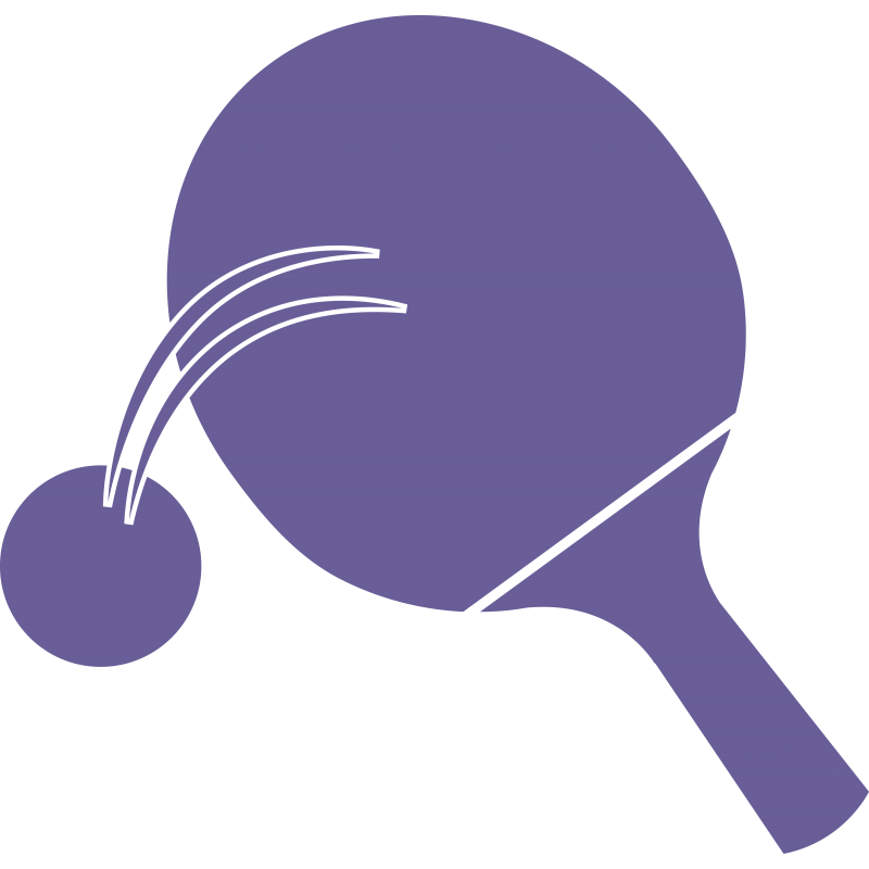 Raquette ping pong