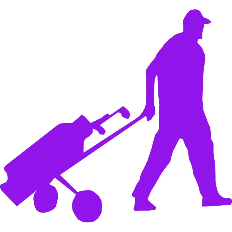 Chariot de golf