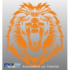 Tete de lion