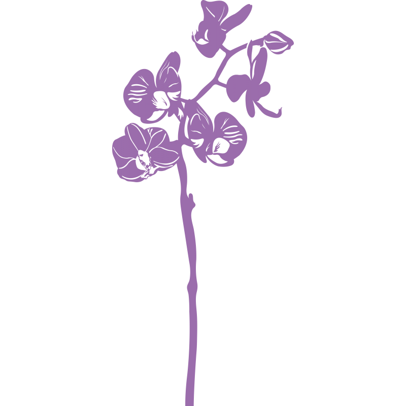 Orchidée