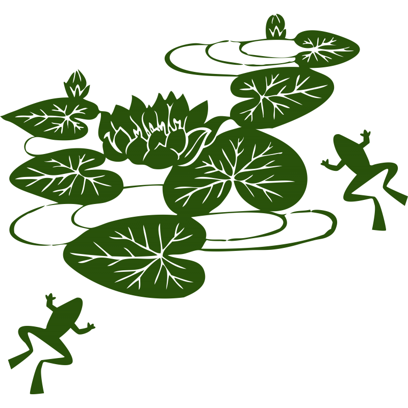 Nénuphar