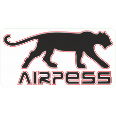 Airpess