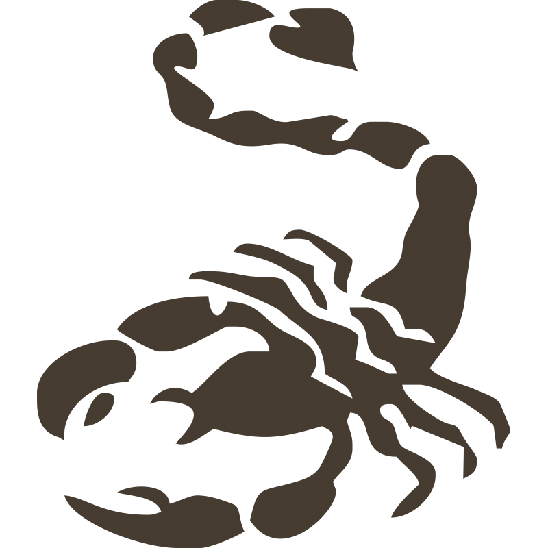Scorpion Scorpion