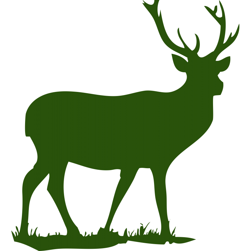 Cerf