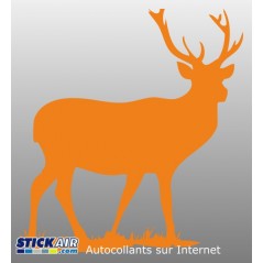 Cerf