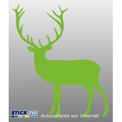 Cerf