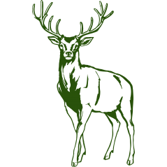 Cerf